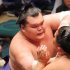 栃大海 雄（Ｃ）日刊ゲンダイ