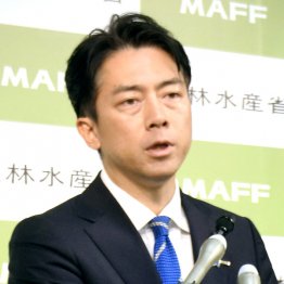 お手並み拝見(C)共同通信社