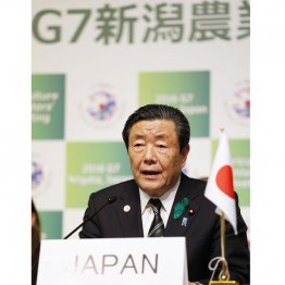 自身が農相時代には「農業の体質強化を」と言っていたけれど…(2016年G7新潟農相会合)/(C)共同通信社